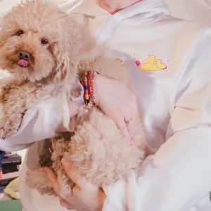 B*k Gibi Koleksiyon Hoodie Ürün Görseli