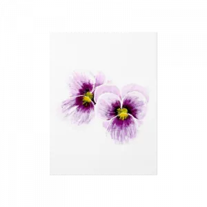 hercai Poster Ürün Görseli