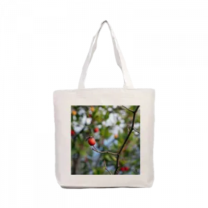 Kuşburnu - Büyükada Kanvas Çanta Ürün Görseli