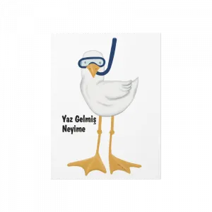 Yaz gelmiş neyime Poster Ürün Görseli