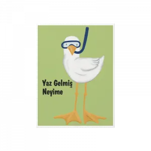 Yaz gelmiş neyime Poster Ürün Görseli