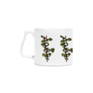 Tatlı meyveler Artisan Kupa Ürün Görseli