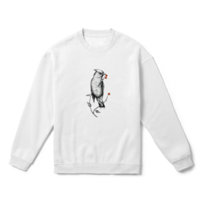 Birdy Oversize Sweatshirt Ürün Görseli