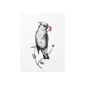 Birdy Poster Ürün Görseli