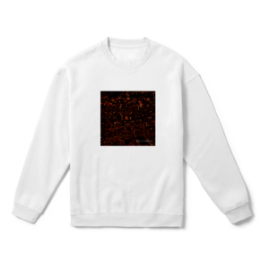 whirlwheel Oversize Sweatshirt Ürün Görseli