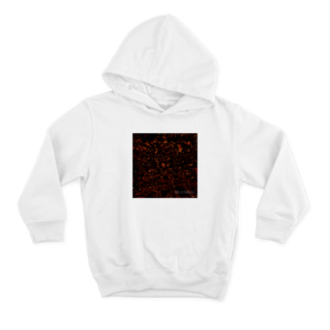 whirlwheel Hoodie Ürün Görseli