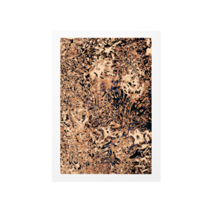 actually they're after us II Poster Ürün Görseli