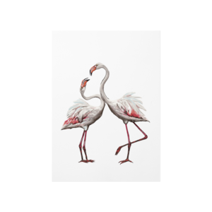 Flamingo çifti Poster Ürün Görseli