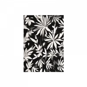 Siyah ve Beyaz Doğa Kanvas Defter Ürün Görseli